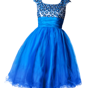 Dress PNG