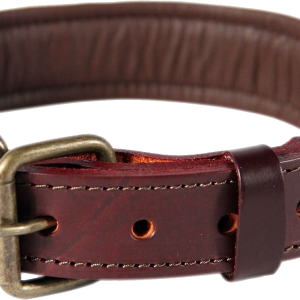 Dog collar PNG