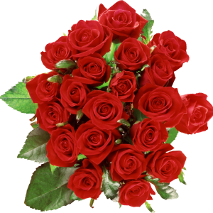 Bouquet of roses PNG image, free picture download