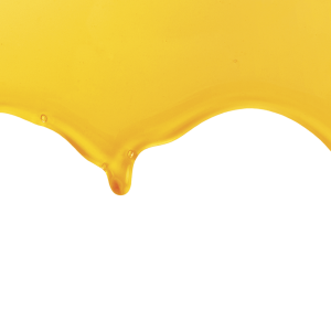 Honey PNG