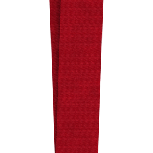 Bronze medal PNG