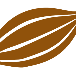 Cacao PNG
