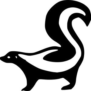Skunk PNG