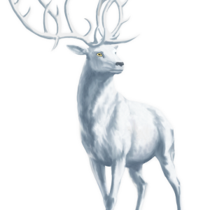 Moose, elk PNG
