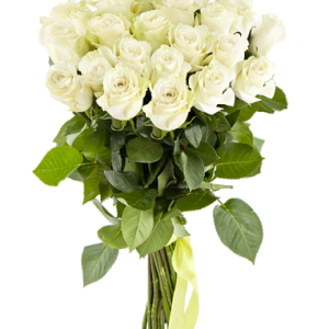 Bouquet flowers PNG