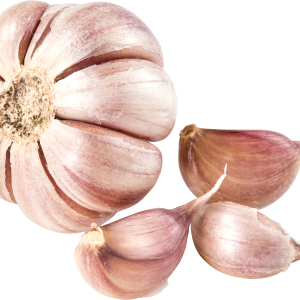 Garlic PNG