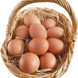 Eggs PNG