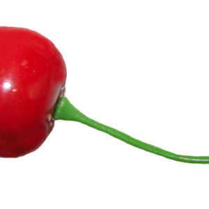red cherry PNG image, free download