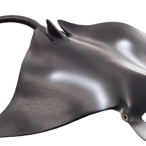 Stingray PNG