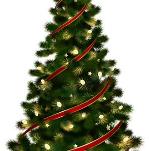 Christmas tree PNG