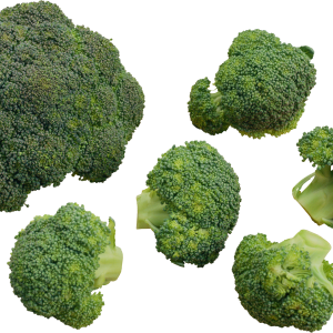 Broccoli PNG