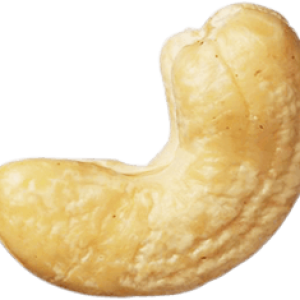 Cashew nut PNG