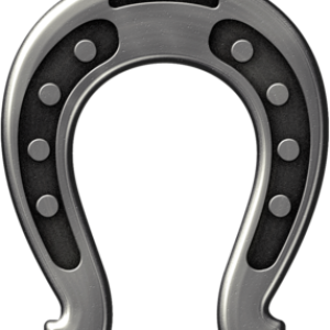 Horseshoe PNG