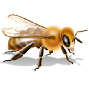 Bee PNG