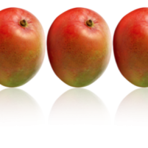 Mango PNG image