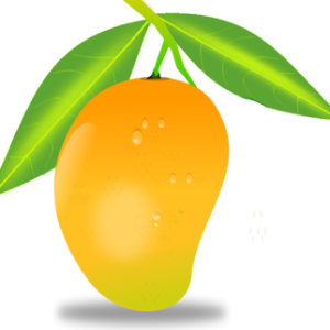 Mango PNG image