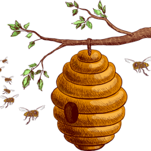 Bee PNG