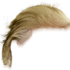 Hair wig PNG