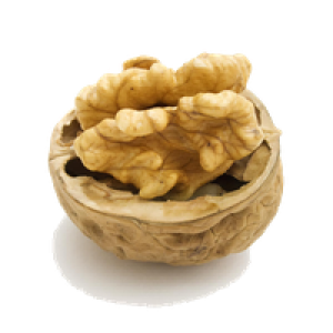 Walnut PNG