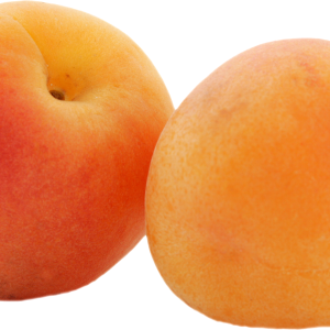 two apricots PNG
