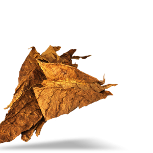 Tobacco PNG