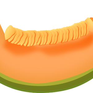 Slice melon PNG