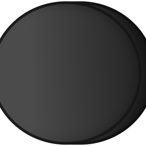 Hockey puck PNG