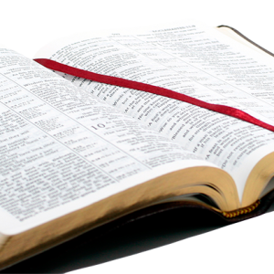 open bible PNG