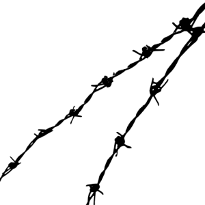 Barbwire PNG