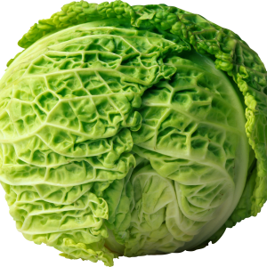 Cabbage PNG image