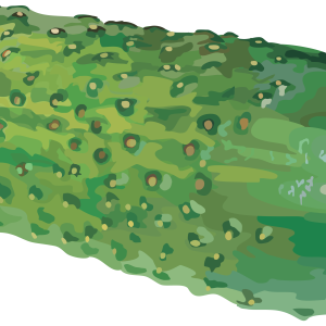 big cucumber PNG image