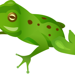 Green frog PNG