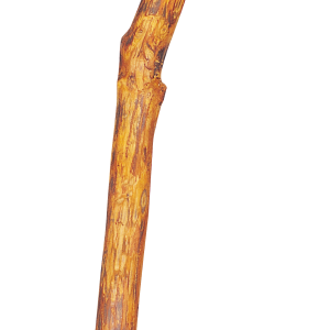 Nest box PNG