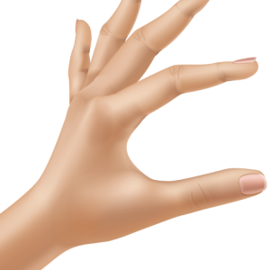 hand PNG