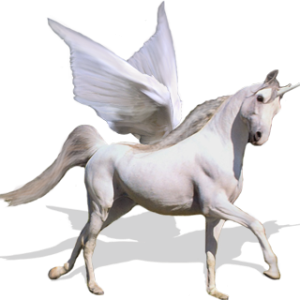 Unicorn PNG