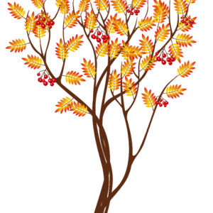 tree PNG