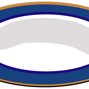 Dish, plate PNG