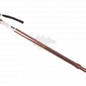 Walking stick PNG