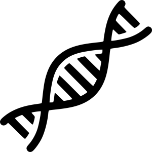 DNA PNG