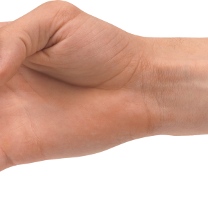 Hands PNG, hand image free