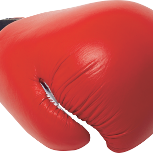 boxing gloves PNG