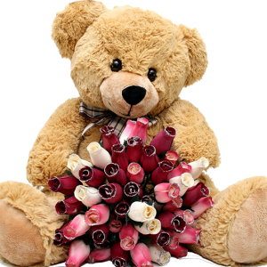 Teddy bear PNG