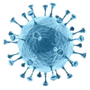 Bacteria PNG