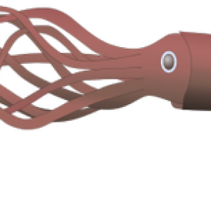 Squid PNG