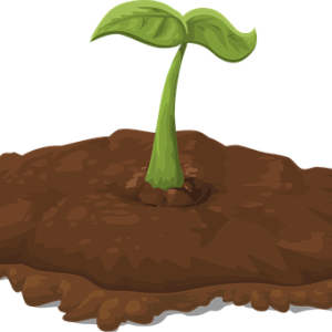 Soil PNG