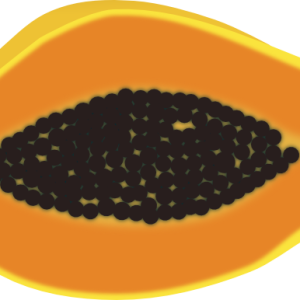Papaya PNG