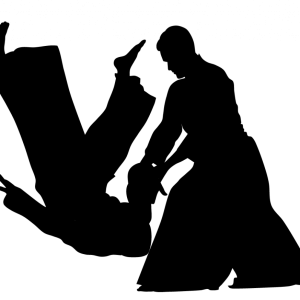 Aikido PNG