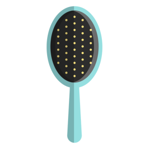 Hairbrush PNG