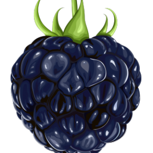 Blackberry PNG