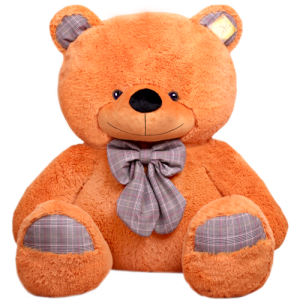 Teddy bear PNG
